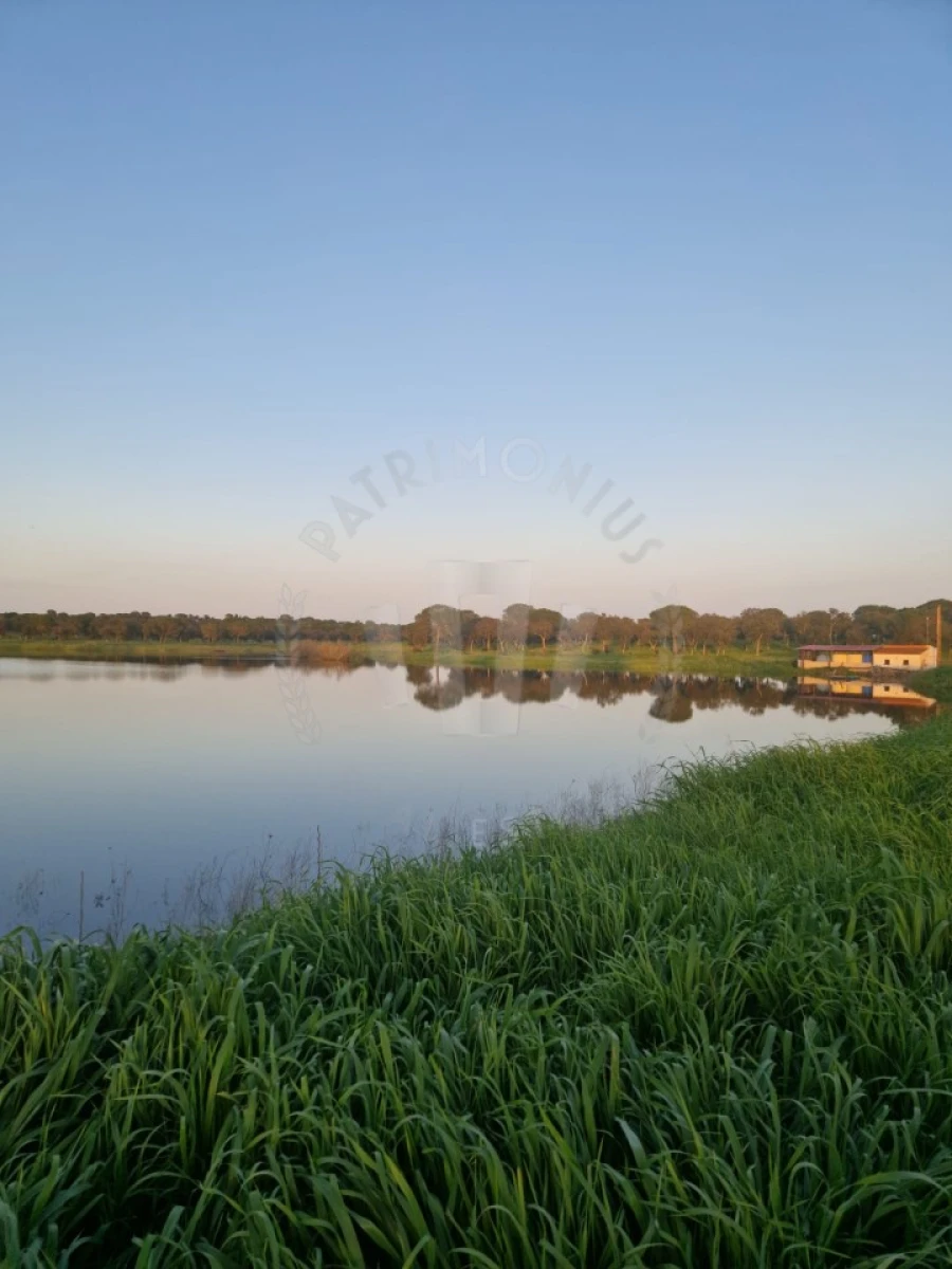 Quinta T4 para Venda em Messejana Foto 35