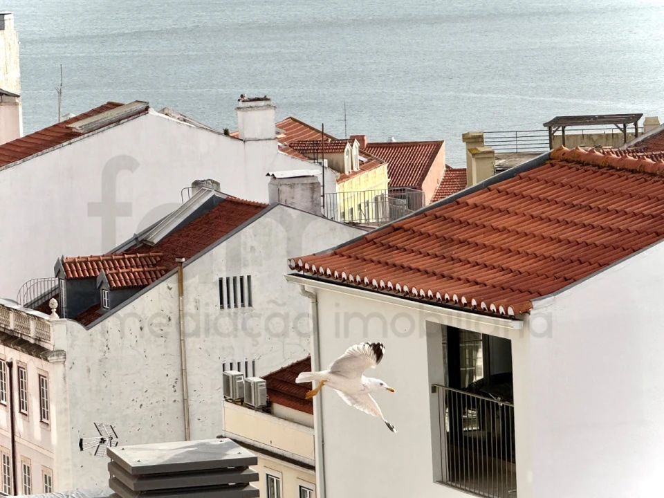 Apartamento T2 para Venda em Estrela Foto 13