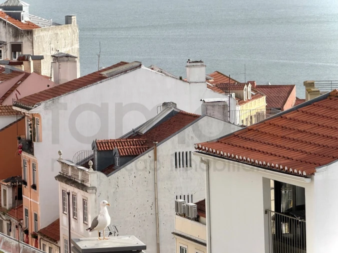 Apartamento T2 para Venda em Estrela Foto 12