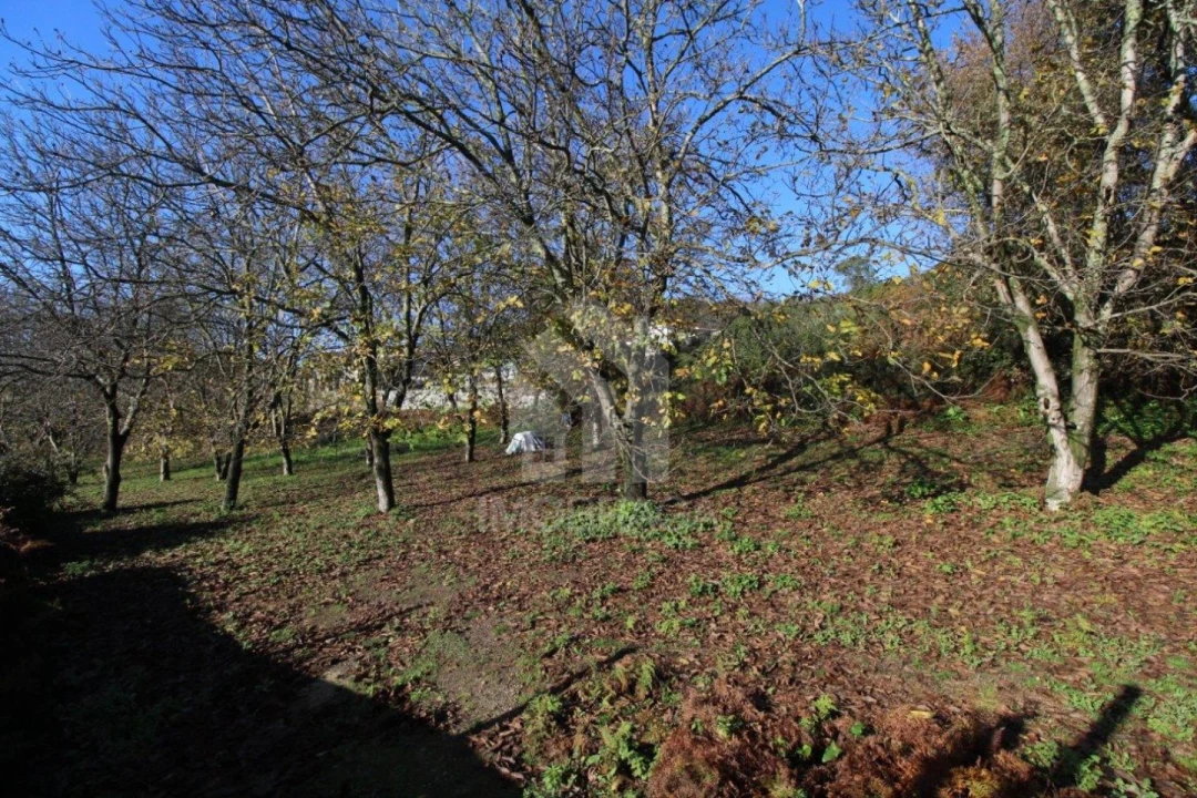 Terreno para Venda em Gualtar Foto 4