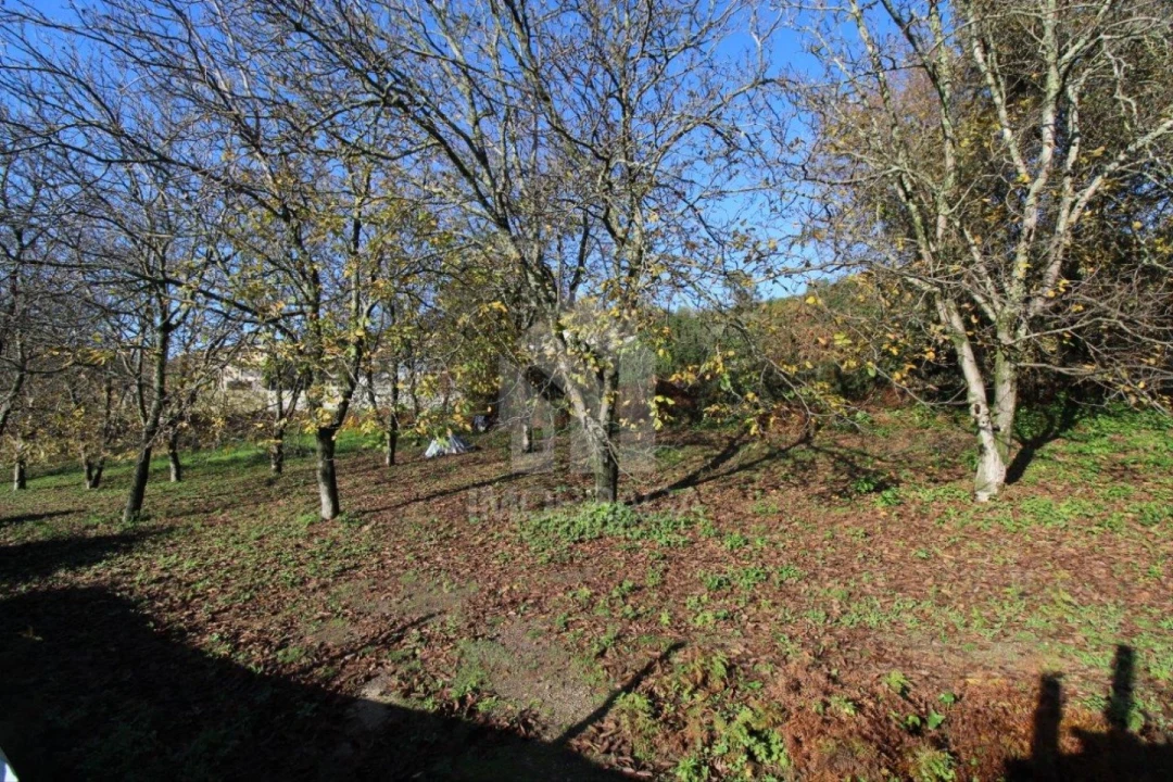 Terreno para Venda em Gualtar Foto 5