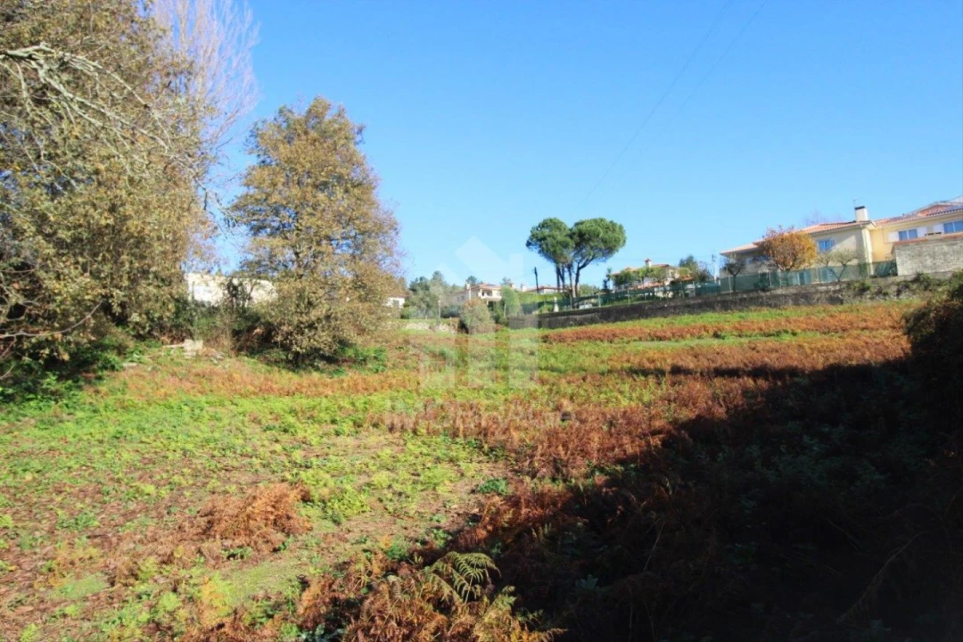 Terreno para Venda em Gualtar Foto 7