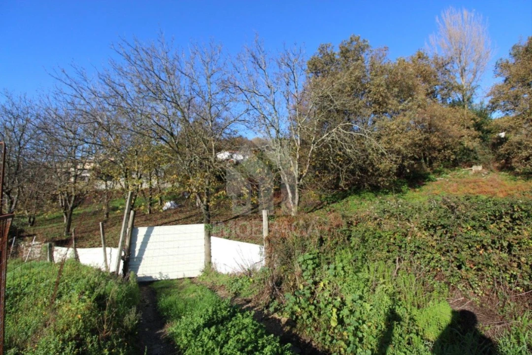 Terreno para Venda em Gualtar Foto 9