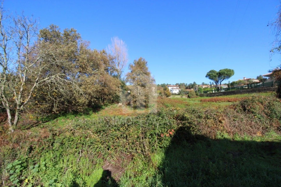 Terreno para Venda em Gualtar Foto 10