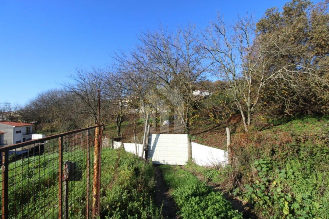 Terreno para Venda em Gualtar Foto 12