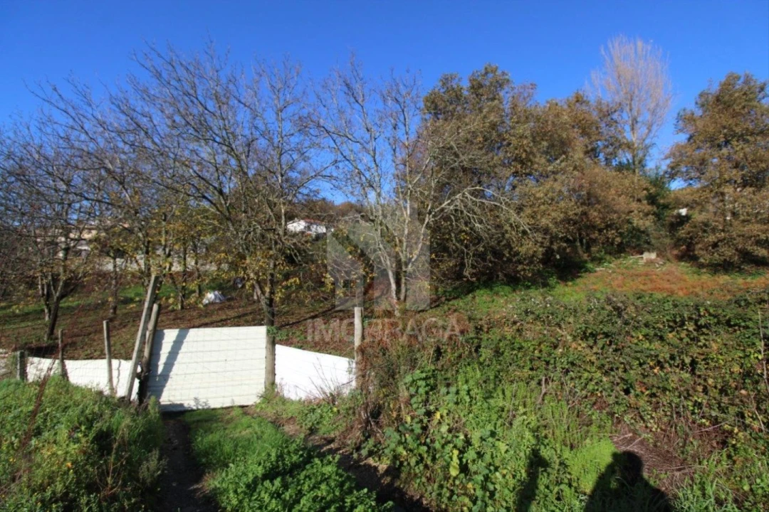 Terreno para Venda em Gualtar Foto 13