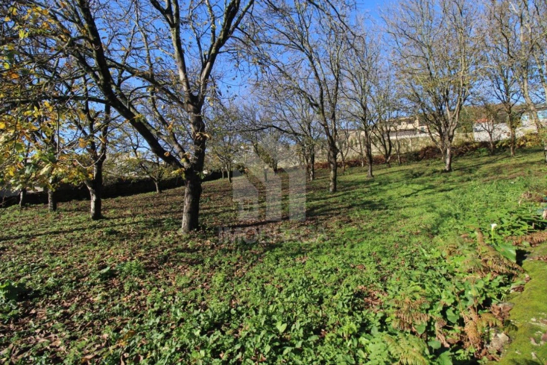 Terreno para Venda em Gualtar Foto 22