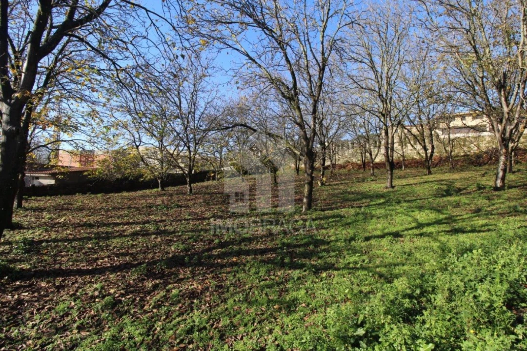 Terreno para Venda em Gualtar Foto 24