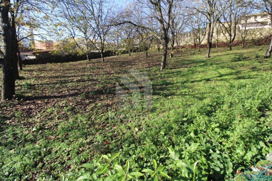 Terreno para Venda em Gualtar Foto 25