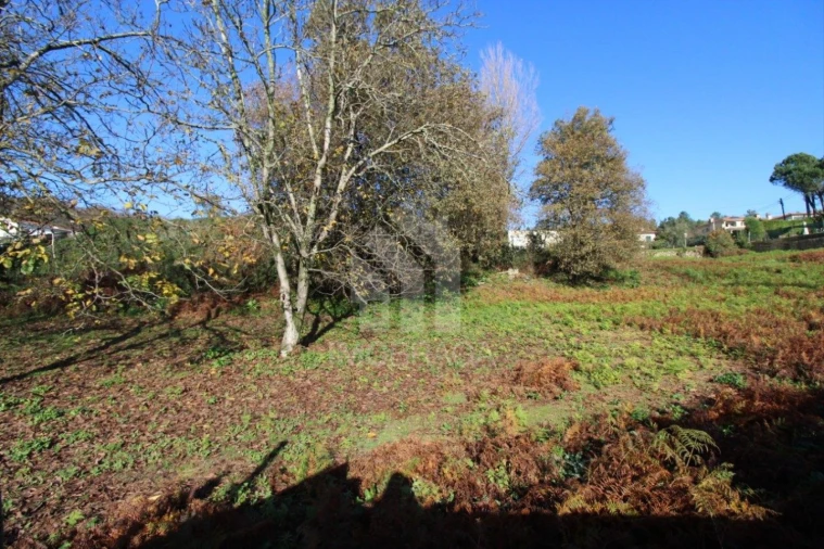 Terreno para Venda em Gualtar Foto 3