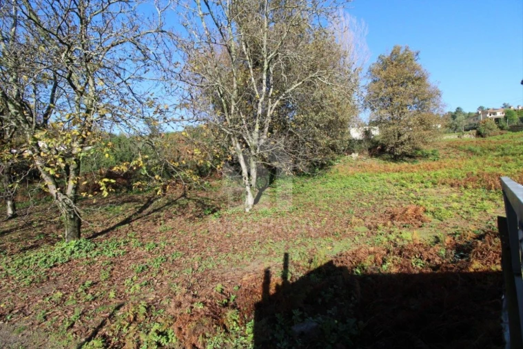 Terreno para Venda em Gualtar Foto 6