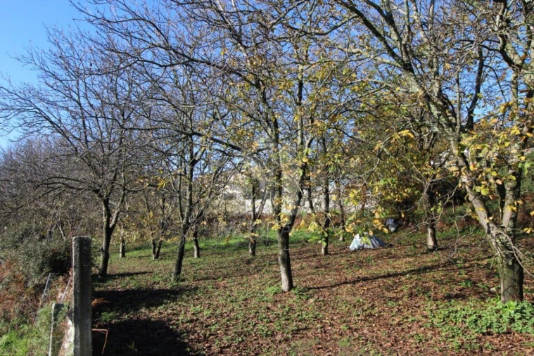 Terreno para Venda em Gualtar Foto 8
