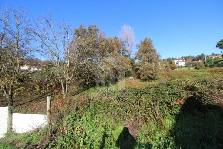 Terreno para Venda em Gualtar Foto 11