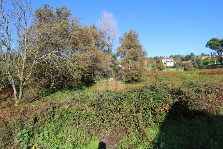 Terreno para Venda em Gualtar Foto 14