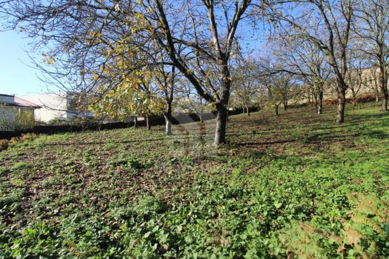 Terreno para Venda em Gualtar Foto 20