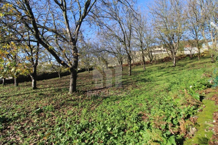 Terreno para Venda em Gualtar Foto 21