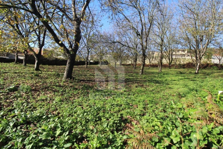 Terreno para Venda em Gualtar Foto 23