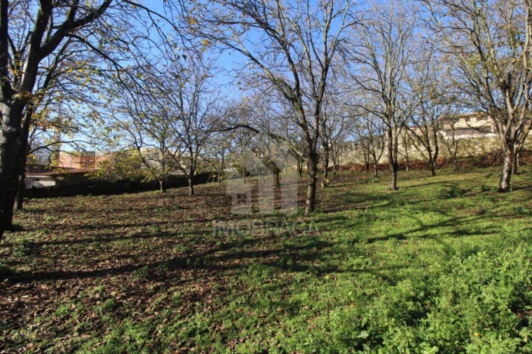 Terreno para Venda em Gualtar Foto 24