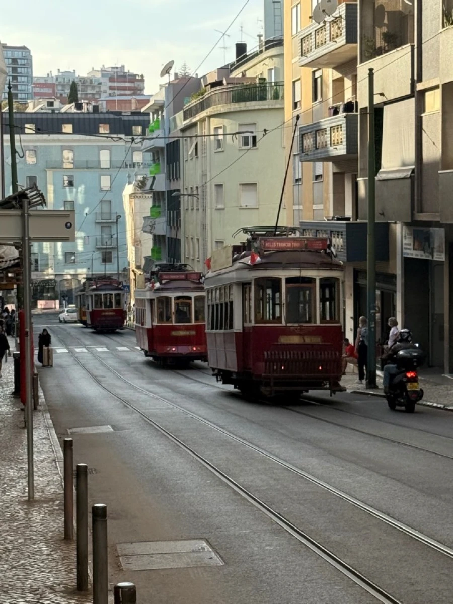 Loja para Arrendamento em Arroios Foto 12