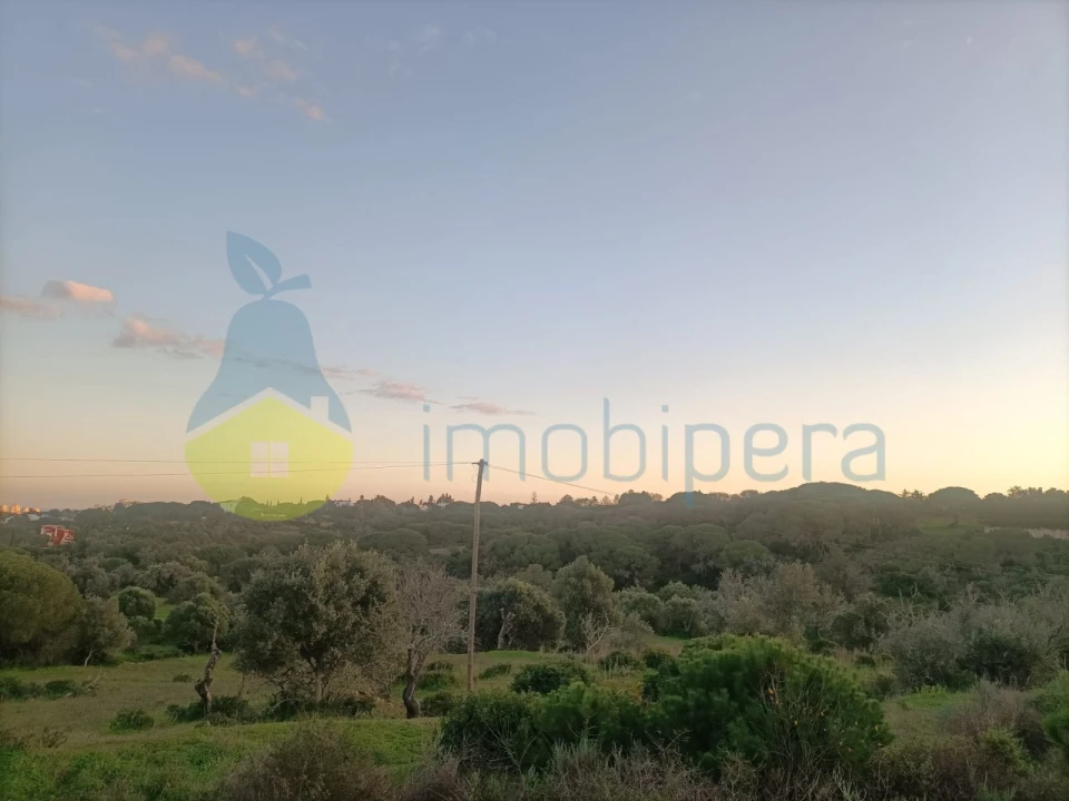 Terreno Agricola ou Rústico para Venda em Porches Foto 1