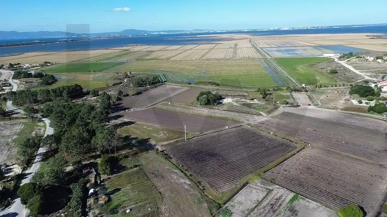 Terreno para Venda em Comporta Foto 14