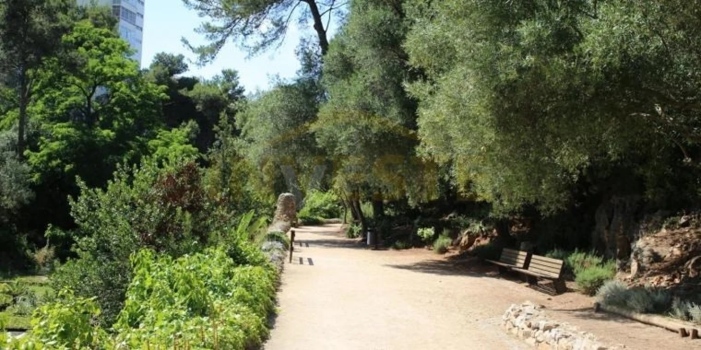 Apartamento T2 para Arrendamento em Cascais e Estoril Foto 19