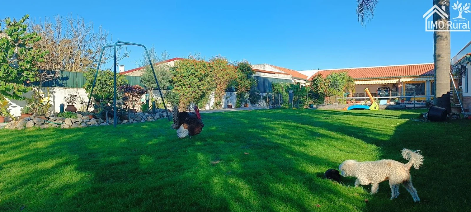 Moradia T3 para Venda em Marinhais Foto 9