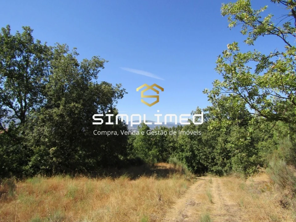 Quinta T0 para Venda em Ferro Foto 9