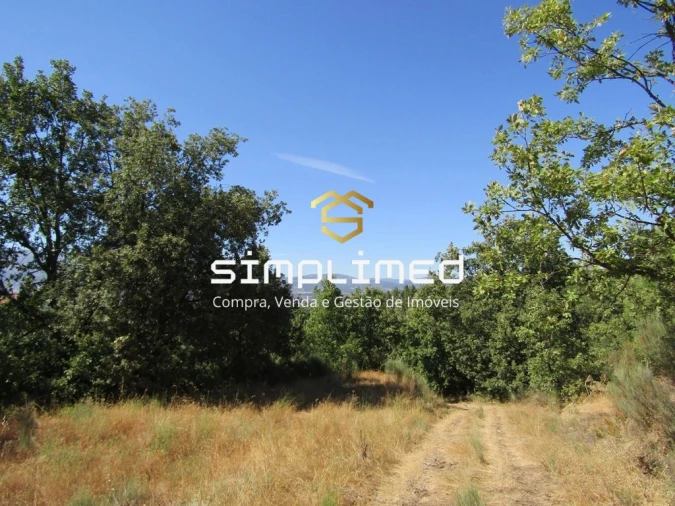 Quinta T0 para Venda em Ferro Foto 9