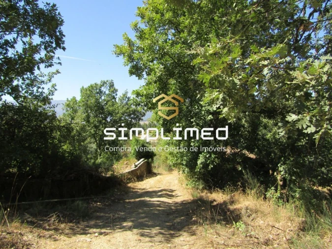 Quinta T0 para Venda em Ferro Foto 36