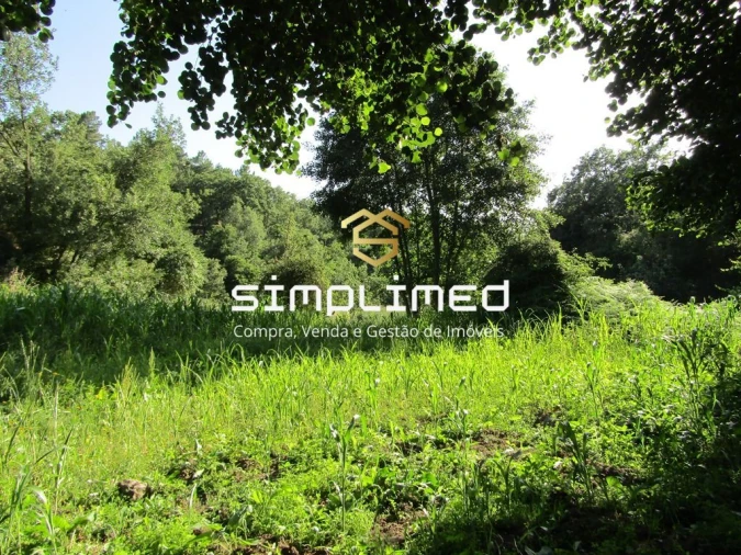 Quinta T0 para Venda em Ferro Foto 32