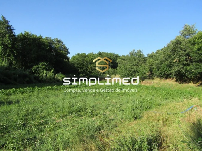 Quinta T0 para Venda em Ferro Foto 17