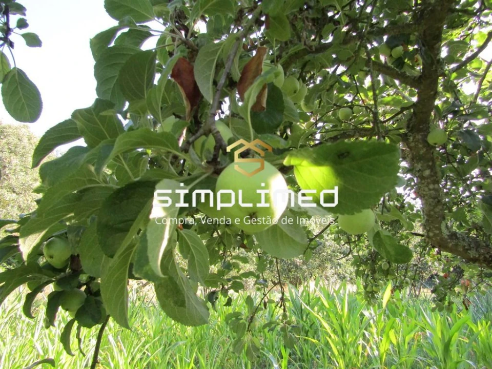 Quinta T0 para Venda em Ferro Foto 16