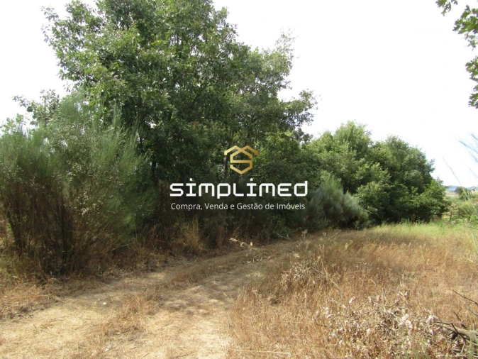 Quinta T0 para Venda em Peraboa Foto 18