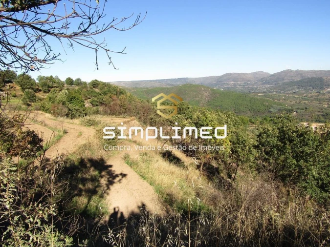 Terreno para Venda em Gonçalo Bocas Foto 25