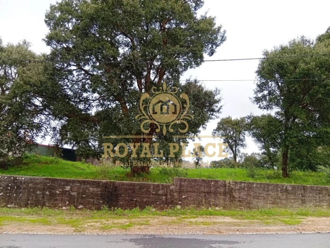 Terreno para Venda em Paços de Brandão Foto 8