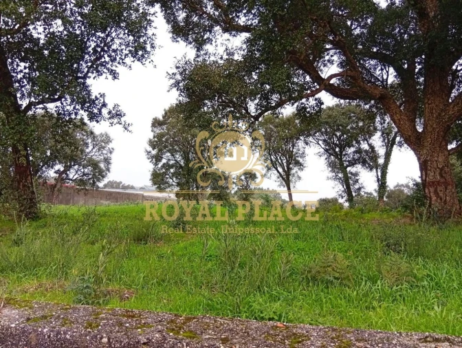 Terreno para Venda em Paços de Brandão Foto 6