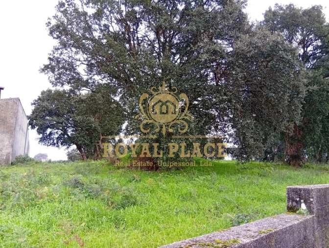Terreno para Venda em Paços de Brandão Foto 3
