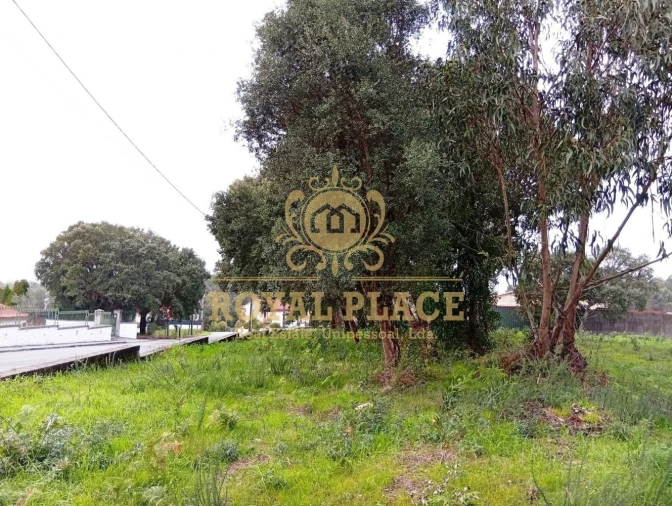 Terreno para Venda em Paços de Brandão Foto 10