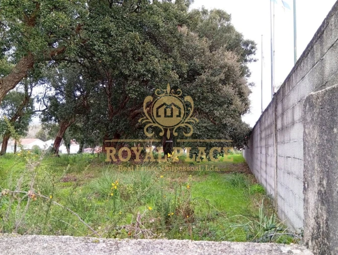 Terreno para Venda em Paços de Brandão Foto 13