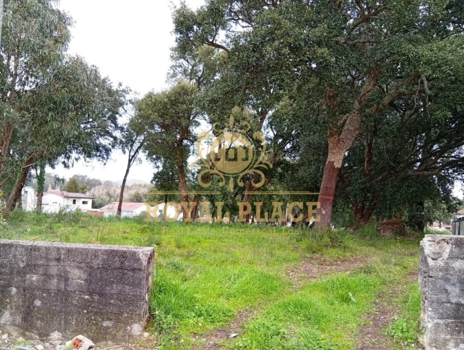 Terreno para Venda em Paços de Brandão Foto 11