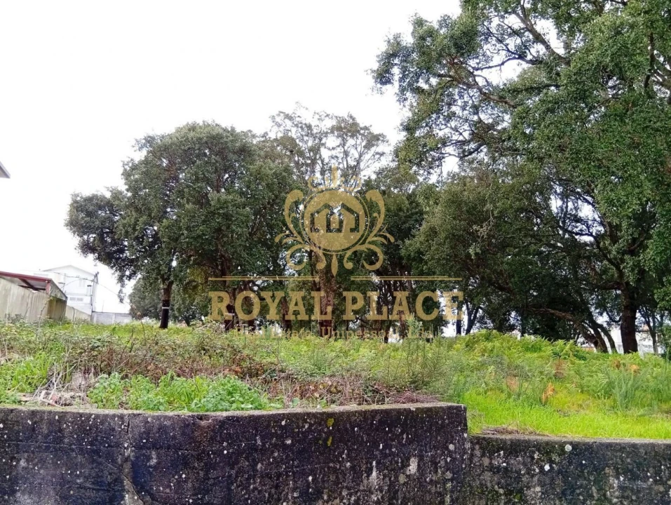 Terreno para Venda em Paços de Brandão Foto 7