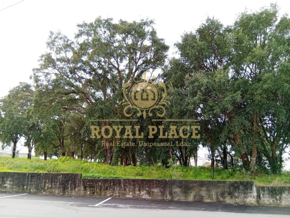 Terreno para Venda em Paços de Brandão Foto 8