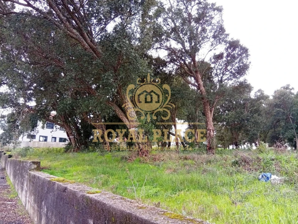 Terreno para Venda em Paços de Brandão Foto 3