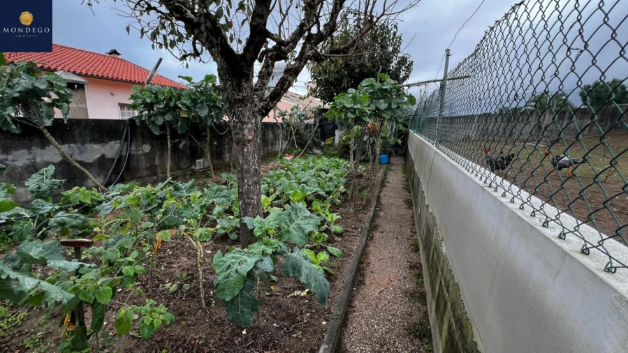 Moradia T4 para Venda em Brasfemes Foto 21