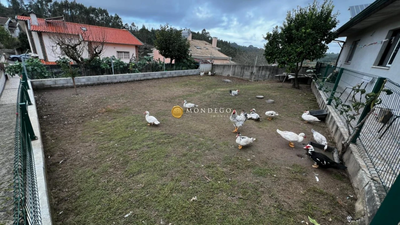 Moradia T4 para Venda em Brasfemes Foto 22