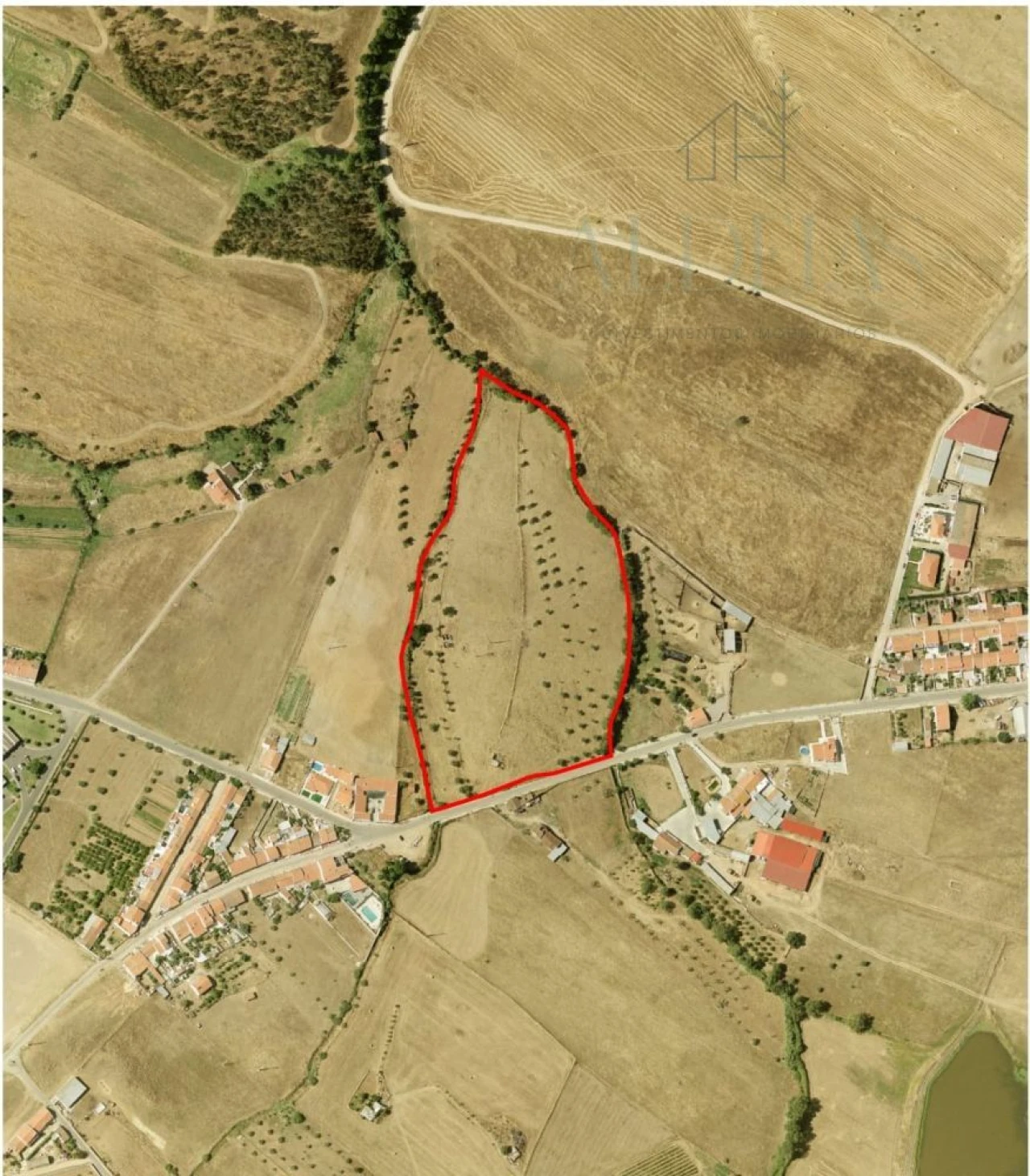 Terreno para Venda em Sousel Foto 5