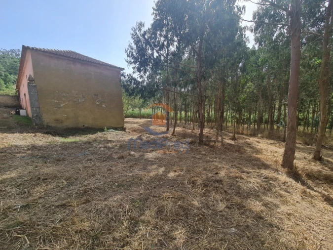 Quinta para Venda em Maxial e Monte Redondo Foto 8