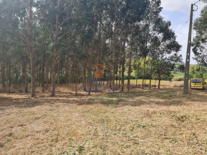 Quinta para Venda em Maxial e Monte Redondo Foto 9