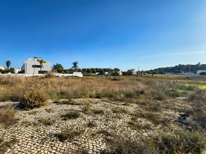 Terreno para Venda em Ferreiras Foto 8